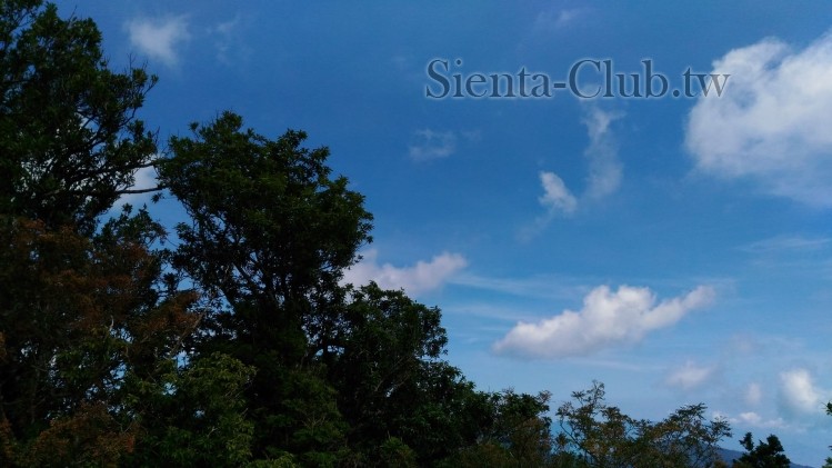 20170806_094144_宜蘭_大同_太平_太平山森林遊樂區_望洋山步道.jpg