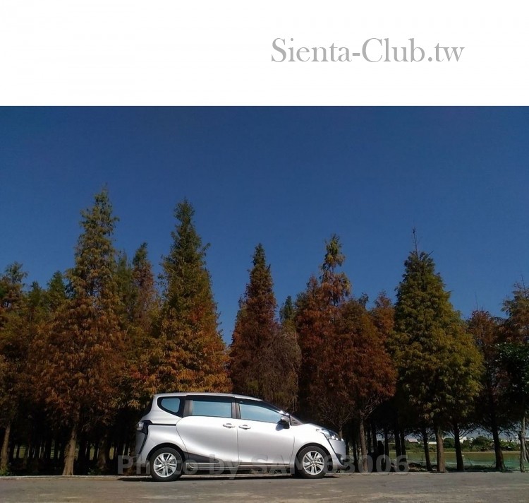 台南_六甲 林鳳營_菁埔埤_落雨松.jpg