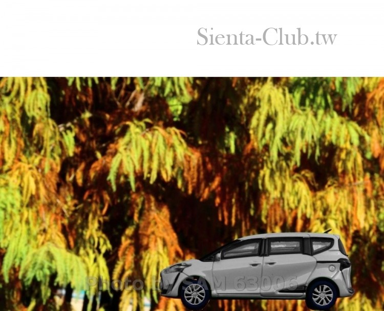 台南_六甲_林鳳營_菁埔埤 落雨松.jpg