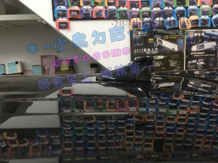 20190329_IMG_9910 (Copy).JPG