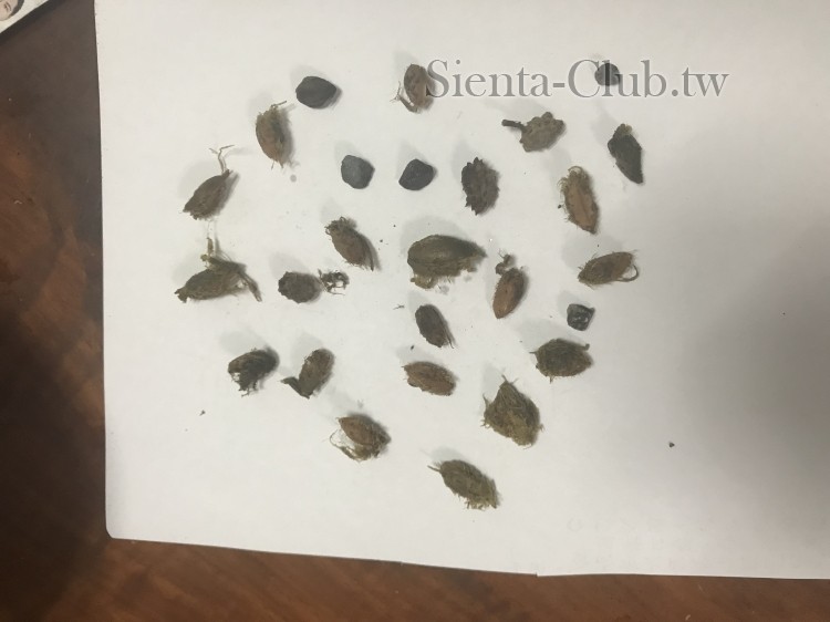 卡在輪胎的東西